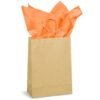 Altitude Ecological Digital Print Midi Paper Gift Bag 150gsm
