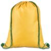 Altitude Fanflare 190T Drawstring Bag
