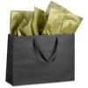 BG-AM-390-B-BL-01-NO-LOGO_1024X1024 Altitude Ritz Maxi Paper Gift Bag