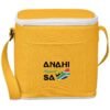 CL-AM-97-B-DY_1024X1024 Altitude Estonia 12-Can / 6-Bottle Cooler