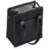 CL-AV-141-B-05-NO-LOGO_1024X1024 Alex Varga Birkdale 9-Can Cooler