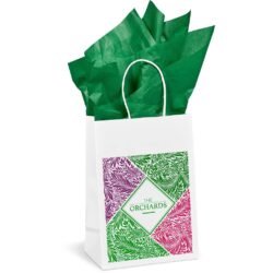 CP-AL-1000-B-G_1024X1024 Altitude Animated Digital Print Mini Paper Gift Bag 200gsm