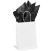 CP-AL-1000-B-PG-AM-415-B-BL-03-NO-LOGO_1024X1024 Altitude Animated Digital Print Mini Paper Gift Bag 200gsm