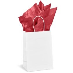 CP-AL-1000-B-R-03-NO-LOGO_1024X1024 Altitude Animated Digital Print Mini Paper Gift Bag 200gsm