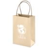 Altitude Memento Mini Paper Gift Bag