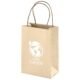 Altitude Memento Mini Paper Gift Bag