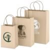 Altitude Memento Maxi Paper Gift Bag