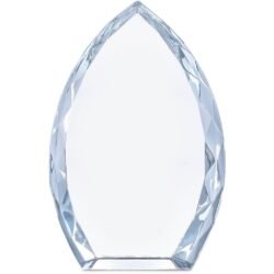 Altitude Trident Award