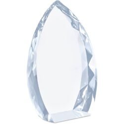 Altitude Trident Award