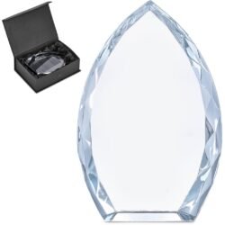 Altitude Trident Award