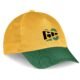 Fanflare Cap - 5 Panel