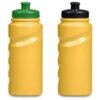 Altitude Fanflare Plastic Water Bottle - 500ml