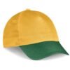 Fanflare Cap - 5 Panel