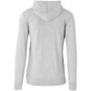 ALT-PSSM-GY-GHBK_1024X1024 Mens Physical Hooded Sweater - Grey