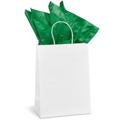 CP-AL-1001-B-G-03-NO-LOGO_1024X1024 Altitude Animated Digital Print Midi Paper Gift Bag 200gsm