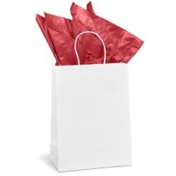 CP-AL-1001-B-PG-AM-415-B-R-03-NO-LOGO_1024X1024 Altitude Animated Digital Print Midi Paper Gift Bag 200gsm