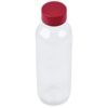 Kooshty Gladiola Glass Water Bottle - 500ml